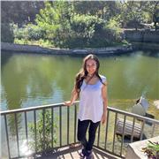 Curso Tarot de Marsella. Modalidad 100% online en directo